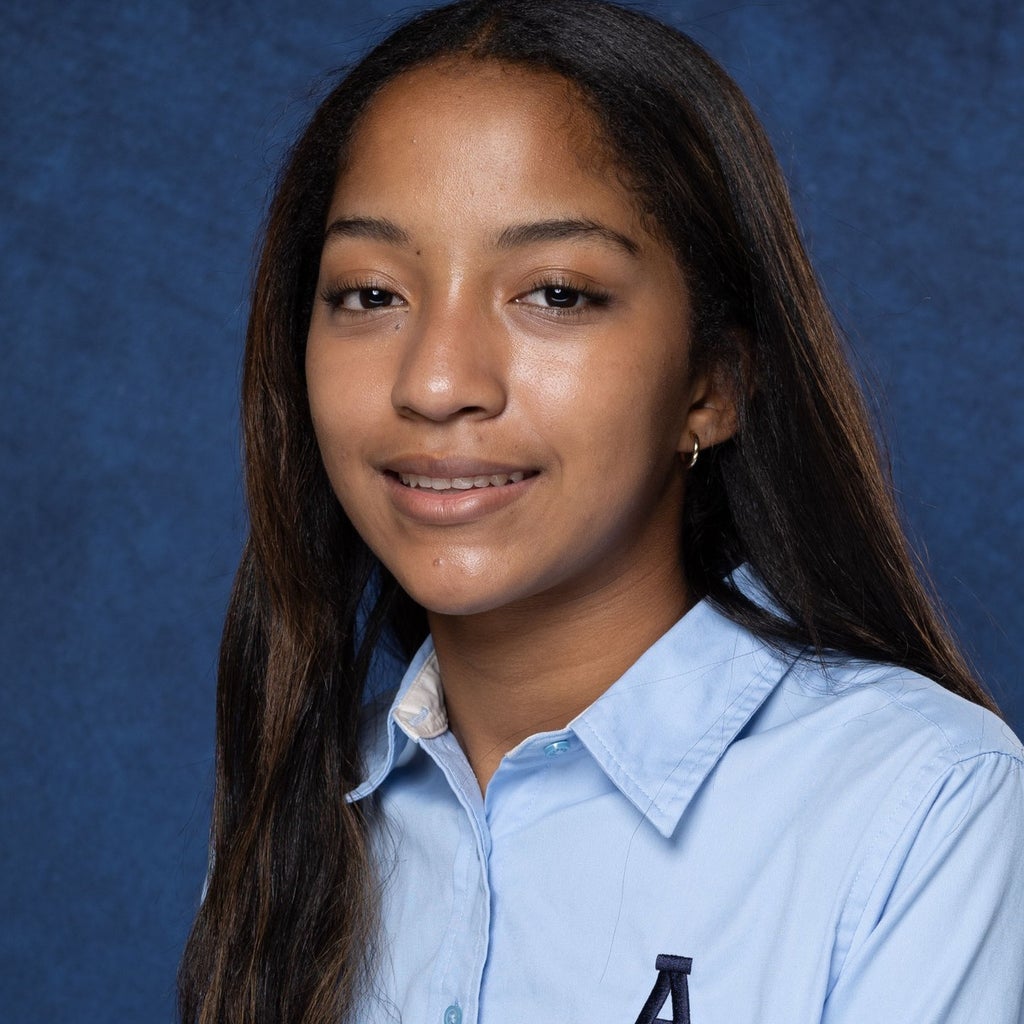 Alani Landin mugshot