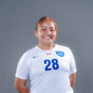 Ayleen Torres mugshot