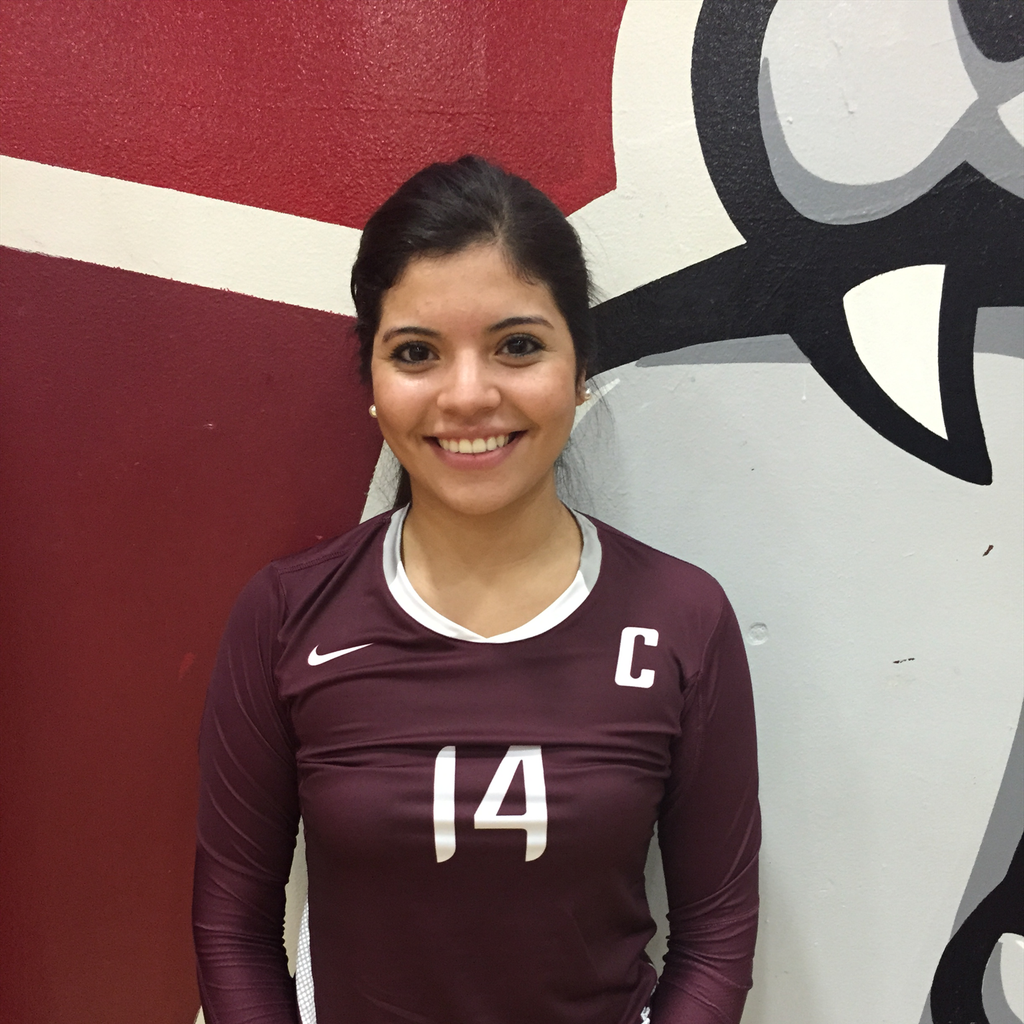 Aylin Martinez mugshot
