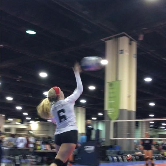 Allison Whitley