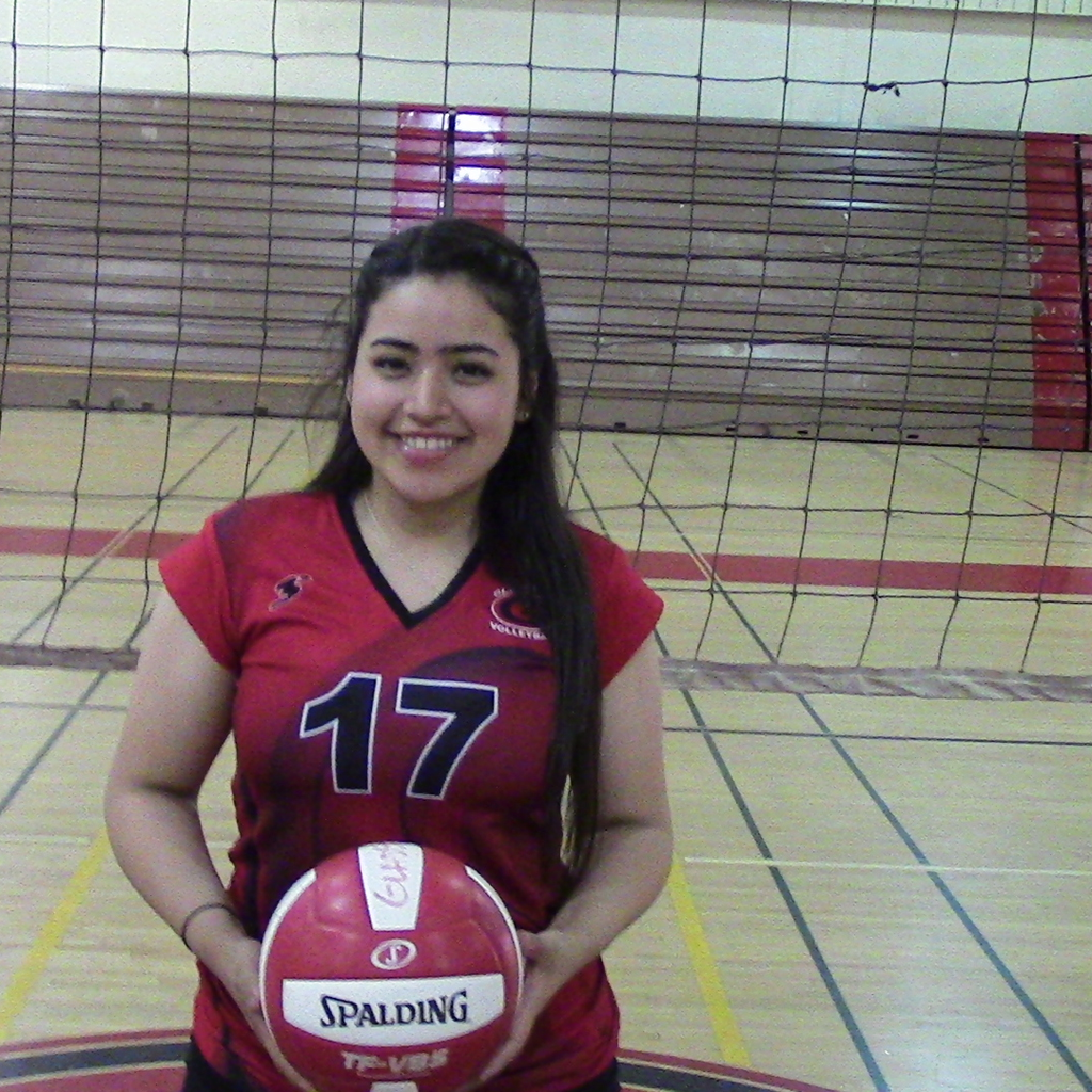 Maritza Santiago mugshot