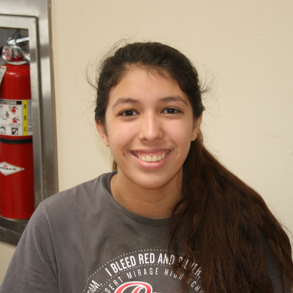 Marisol Ruiz mugshot
