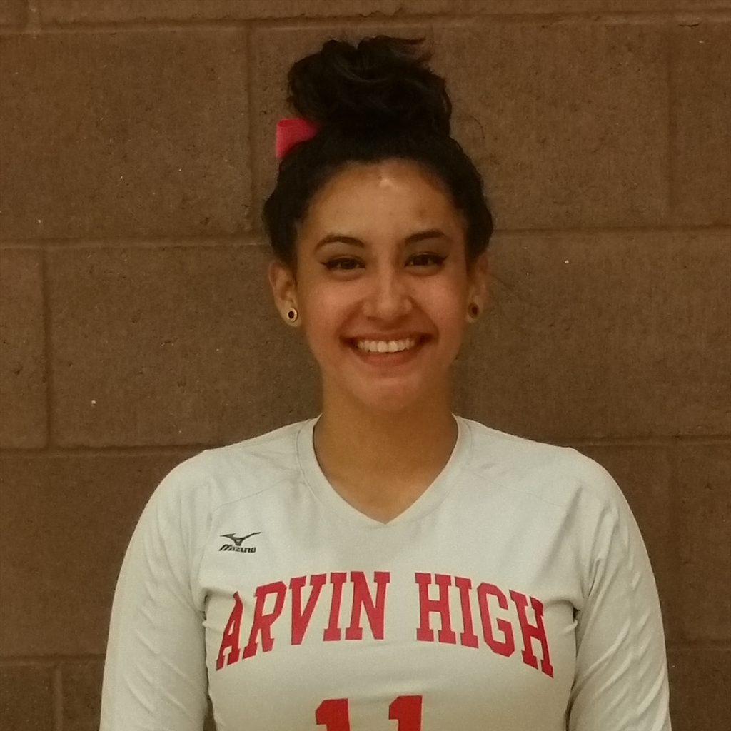Alondra Parra mugshot