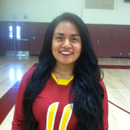 Joleen Sanchez mugshot