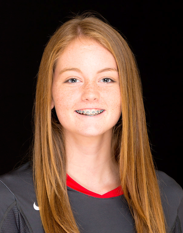 Sarah Hamlin mugshot