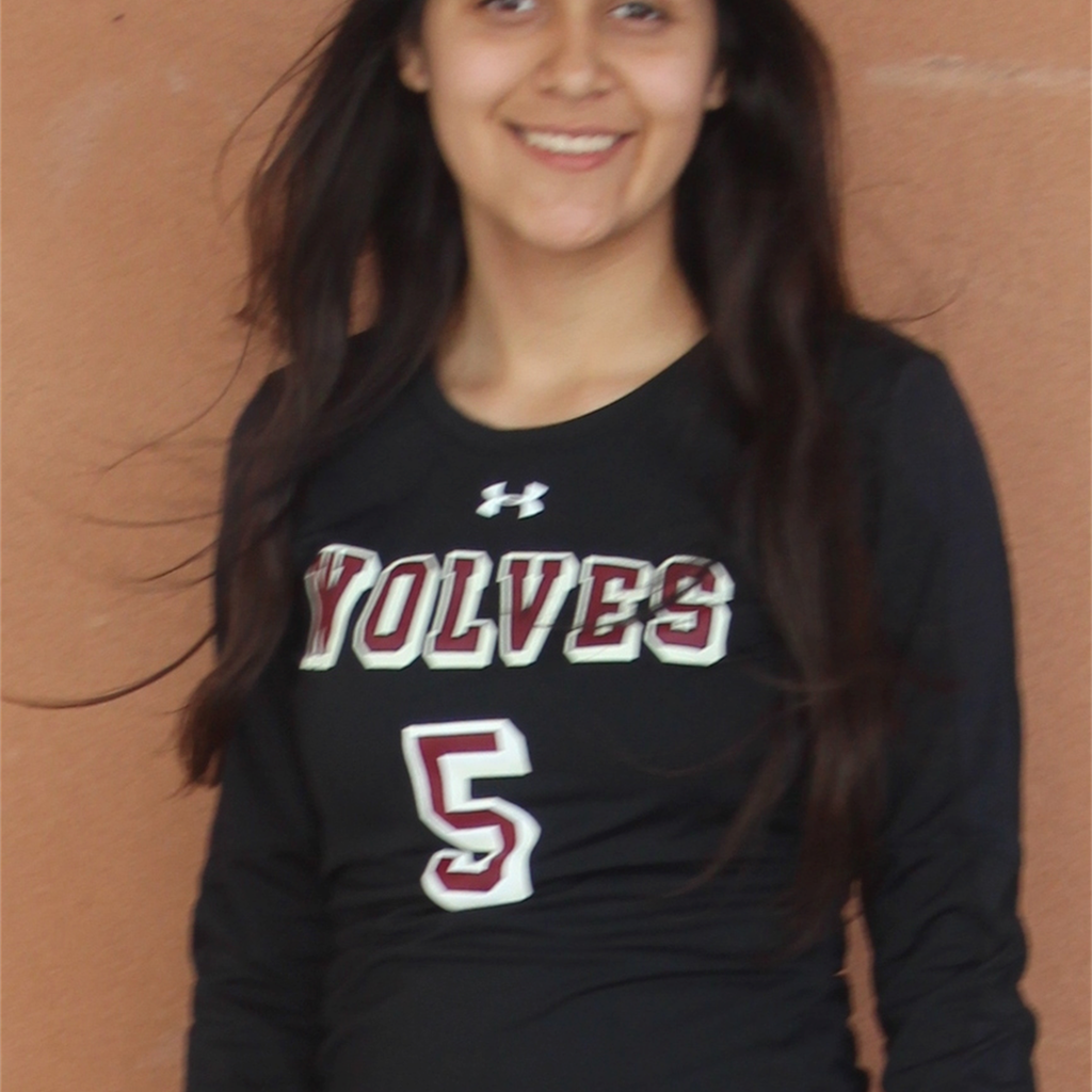 Yesenia Peralta mugshot