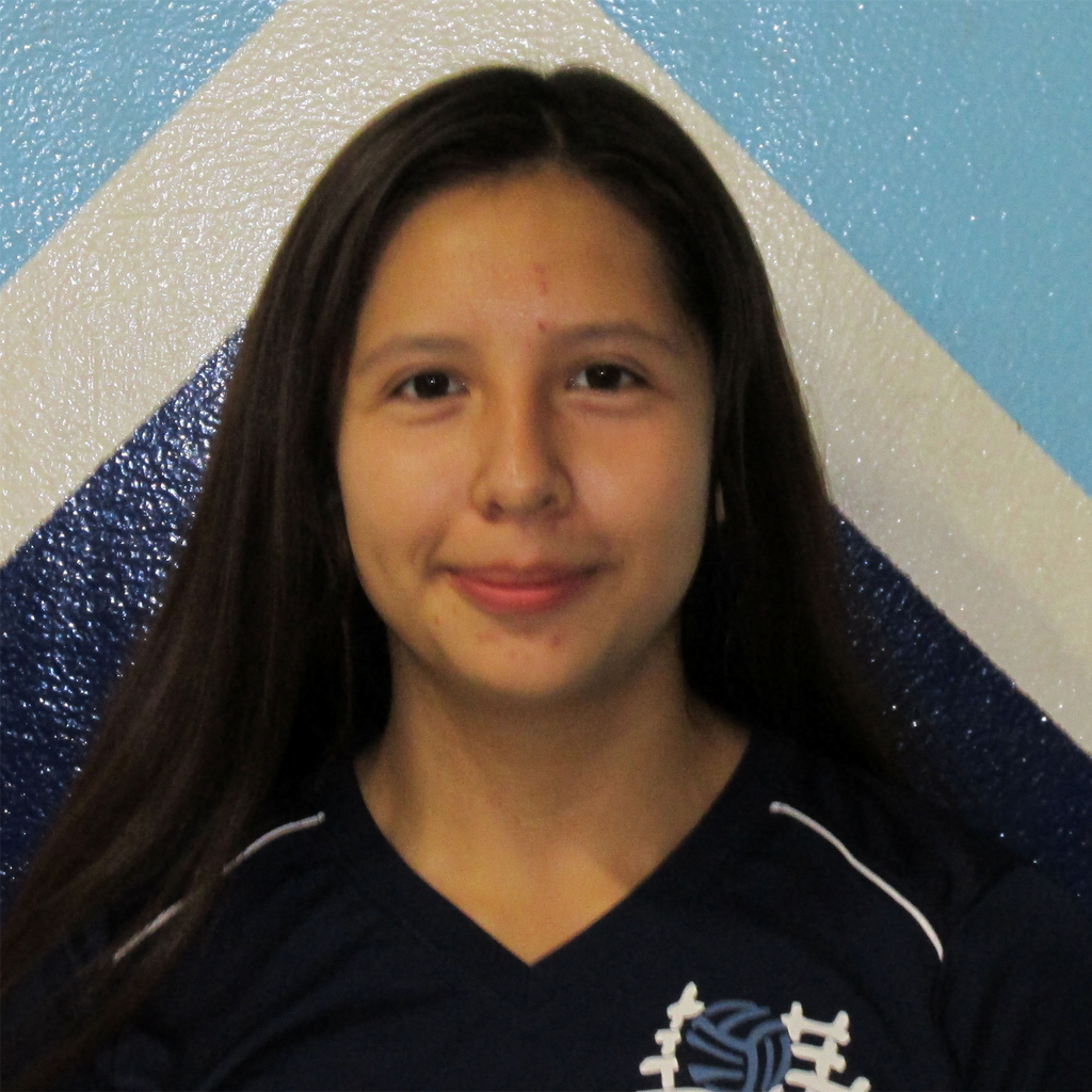 Elizabeth Diaz mugshot