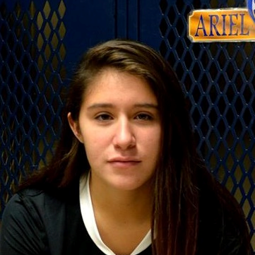 ARIEL COSME mugshot