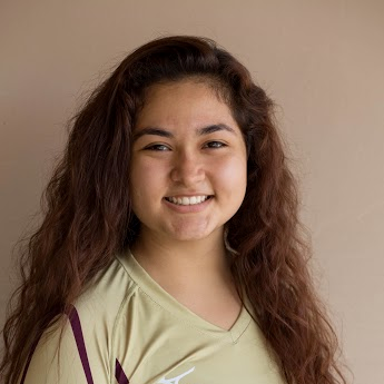 Guadalupe Perez mugshot