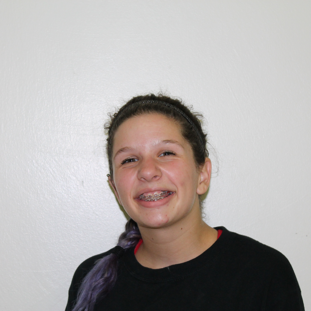 Heidi Heron mugshot