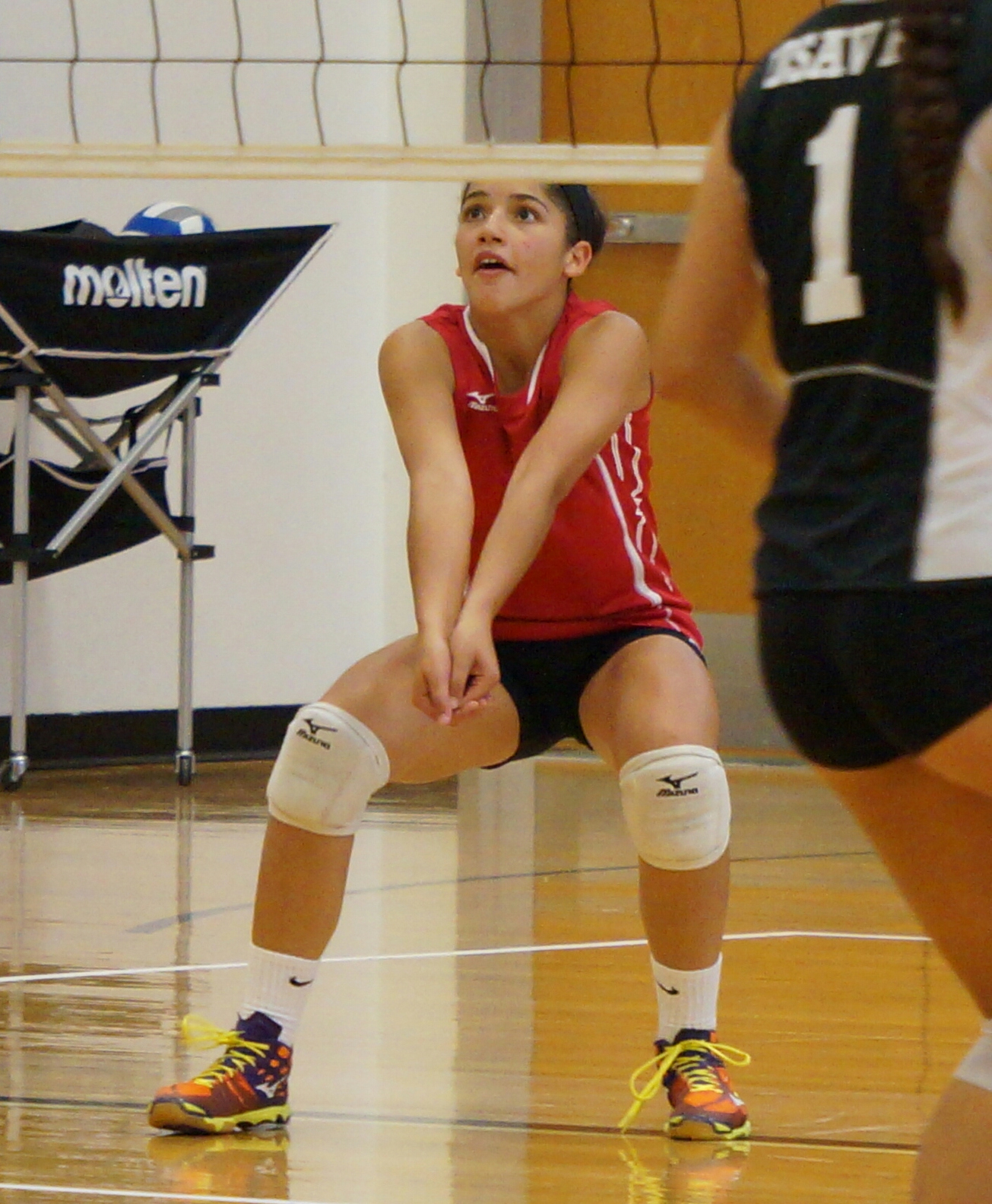 Paola Laborda
