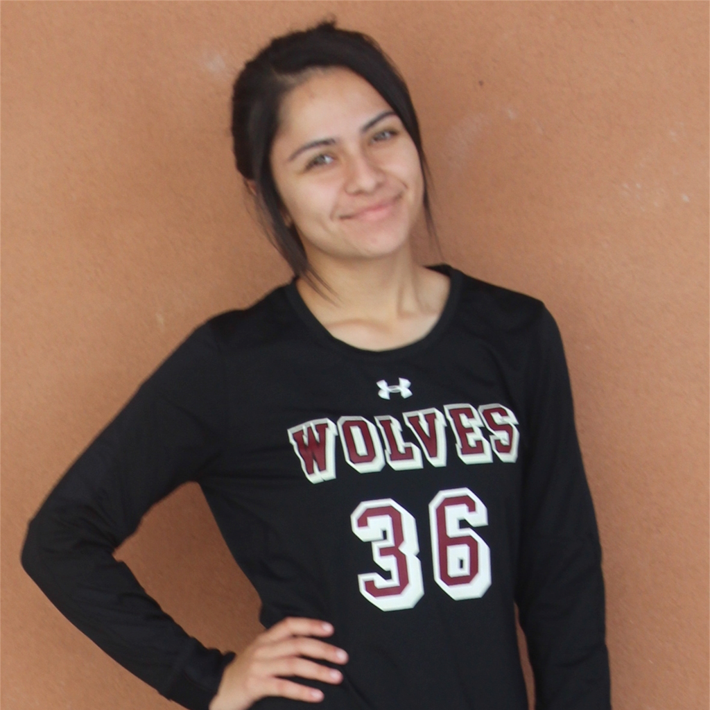 Hennessy Rodriguez mugshot