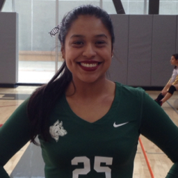 Priscilla Hernandez mugshot