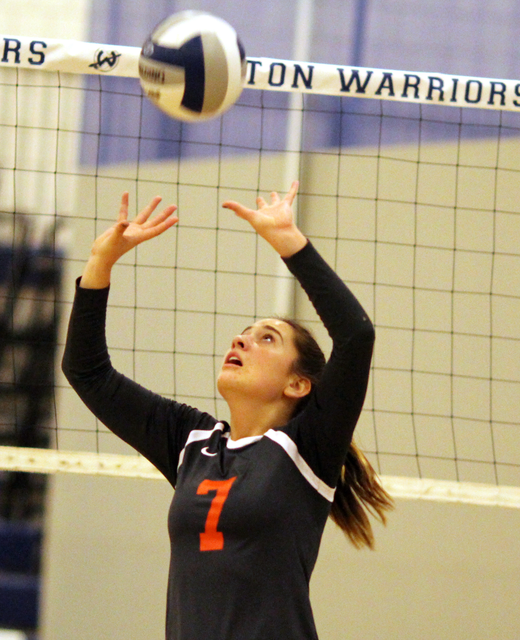 Ally Livingston