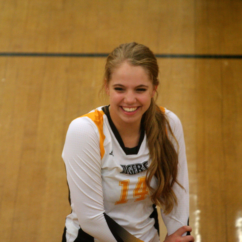 Allie Hansen mugshot