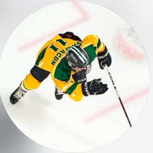 Luc Sanfacon mugshot