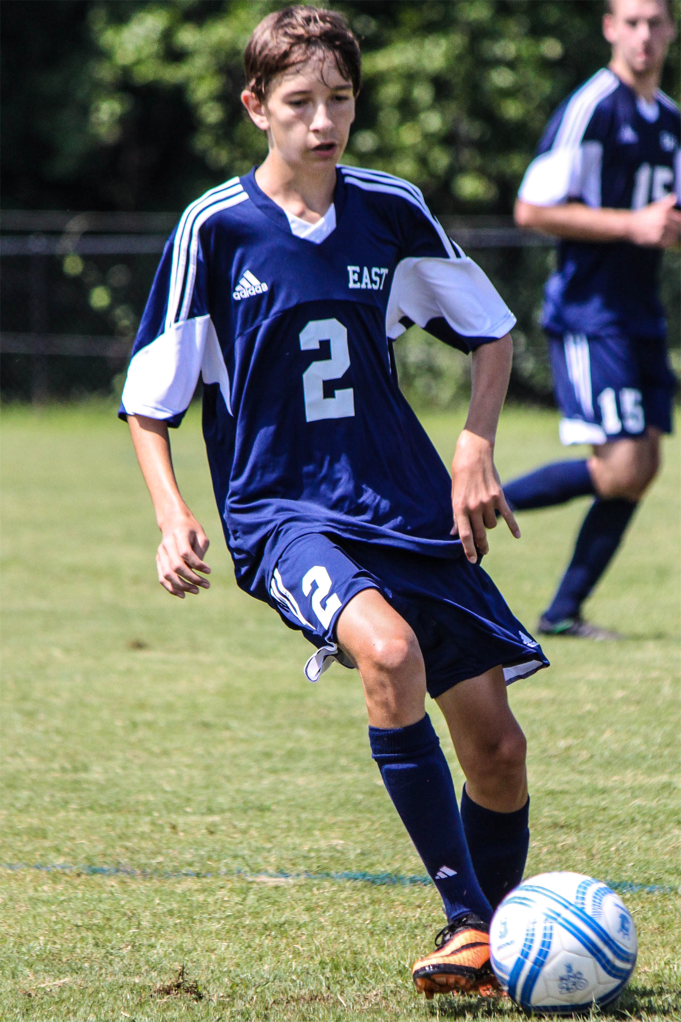 vince vetrano