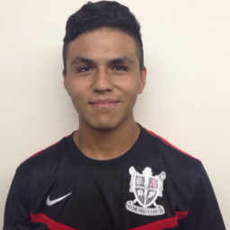 Luis Aleman mugshot