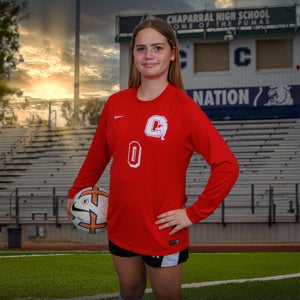 Natalie Mendoza mugshot