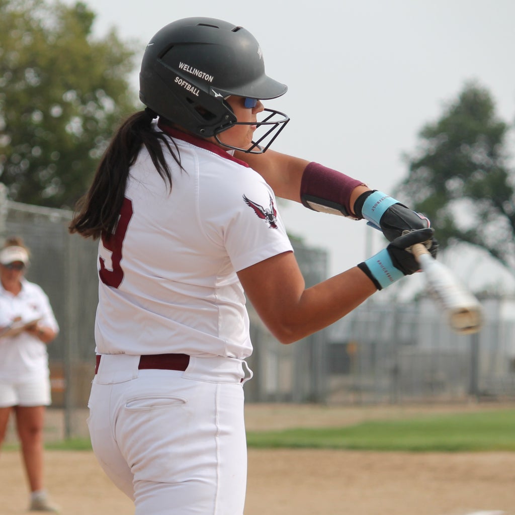 Scarlet McGuire mugshot