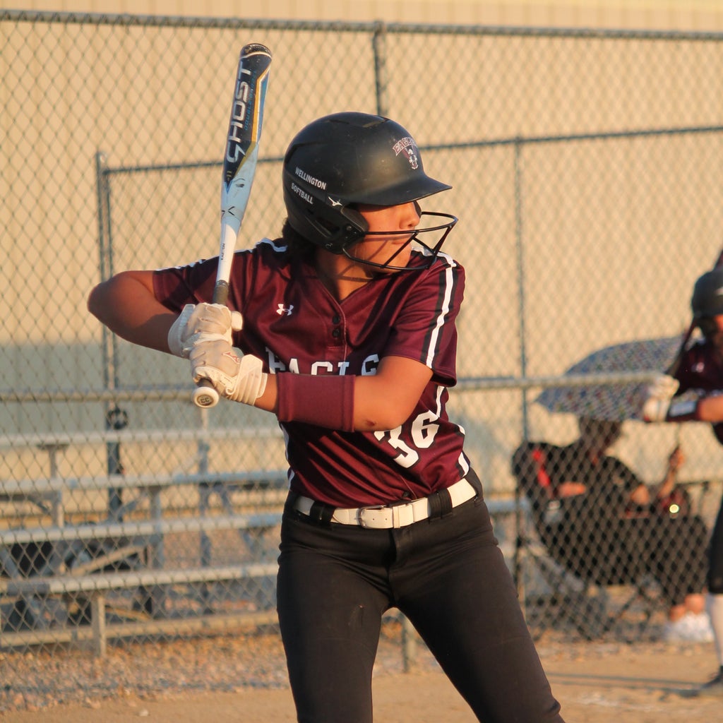 Alanna Sandlian mugshot