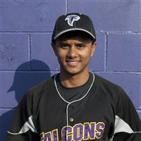 Dyaln Patel mugshot