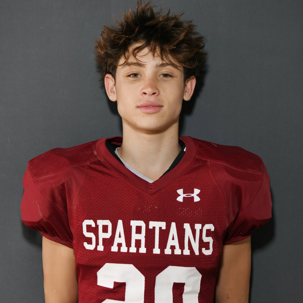 Roman Palladino mugshot