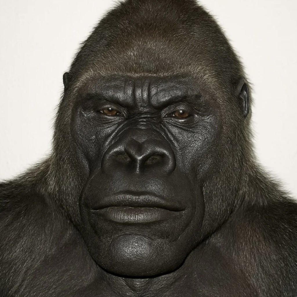 Jhon Manuel mugshot