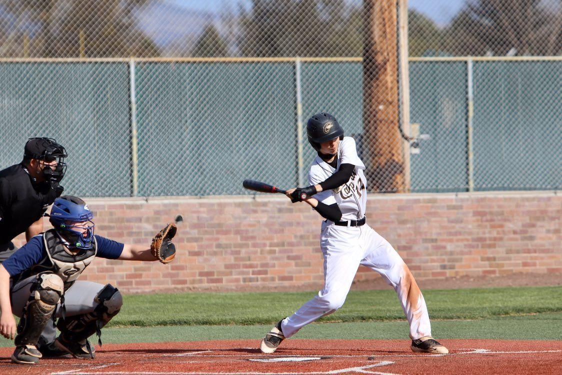 Tyler Brewer