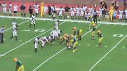 Spring Valley football highlights vs. Lower Richland High