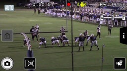 Mike Williams's highlights Fairhope