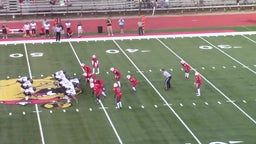 Big Rapids football highlights vs. Newaygo