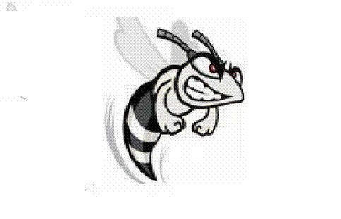 Hudsonville Hornets