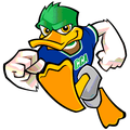 Ducks mascot photo.