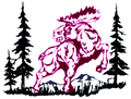 Mean Moose mascot photo.