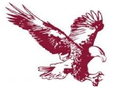 Eagles mascot photo.