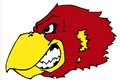 Jayhawks mascot photo.