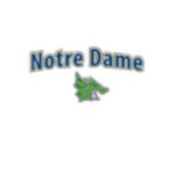 Notre Dame of Manhattan