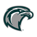 Silver Hawks mascot photo.