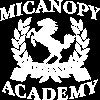 Micanopy Academy