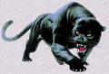 Panthers mascot photo.