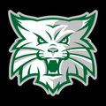 Wildcats mascot photo.
