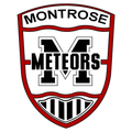 Meteors mascot photo.