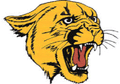 Cougars mascot photo.