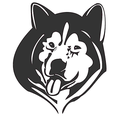 Huskies mascot photo.