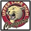 Upper Lake High School 