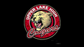 Cougars mascot photo.