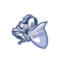 Crusaders mascot photo.