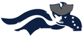 Patriots mascot photo.