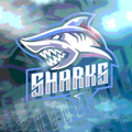 Sharks mascot photo.